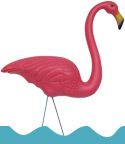 flamingo_small